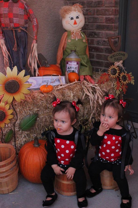 323695_10150446031130619_1833877709_o